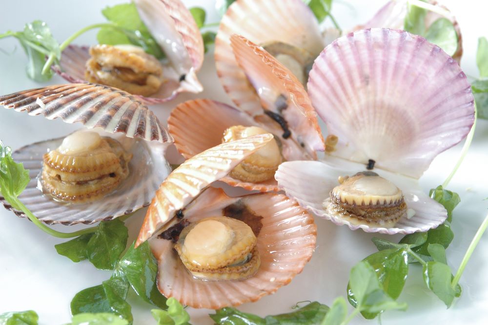 What are Scallops – What Does It Taste Like? - My Cooking Town